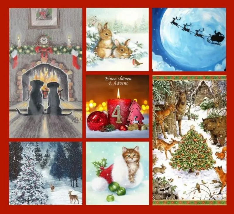 Andachtsbild von Adventsrosen für Missy 