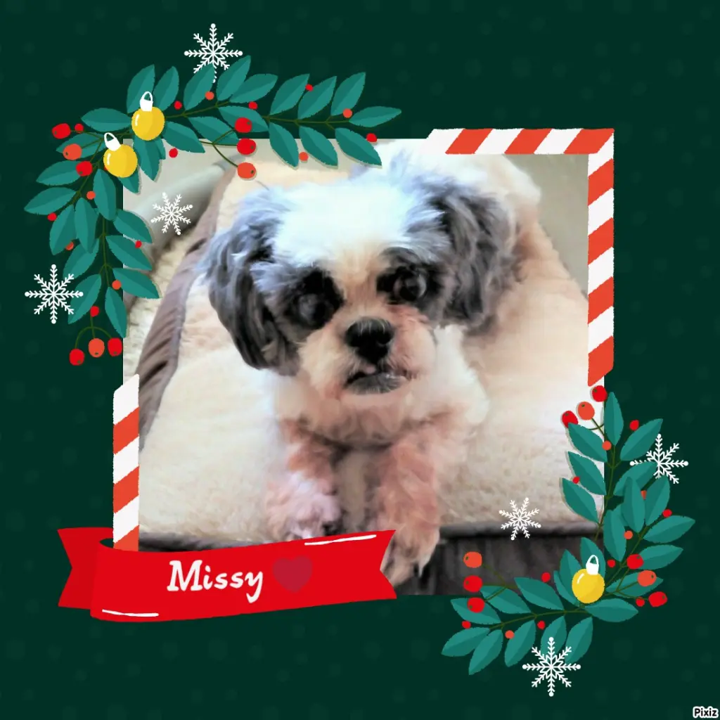 Andachtsbild von Tanja mit Timmy im Herzen 