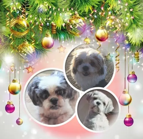 Andachtsbild von Frohe❤❤❤Weihnachten❤❤❤