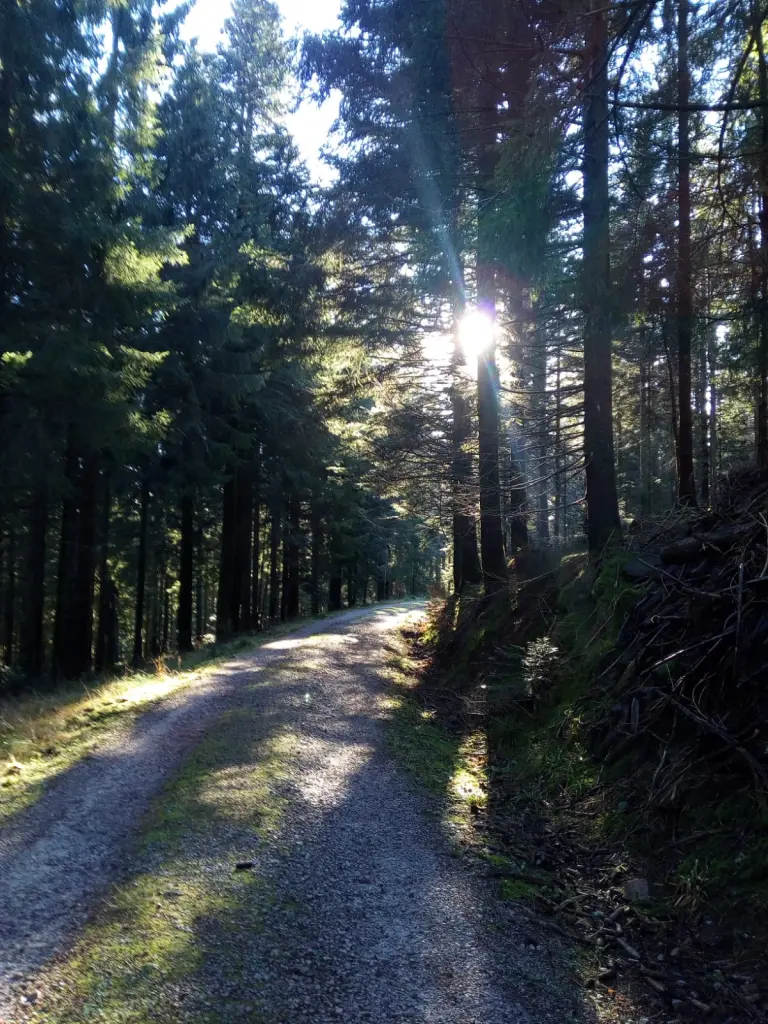 Andachtsbild von Für Dich Missy