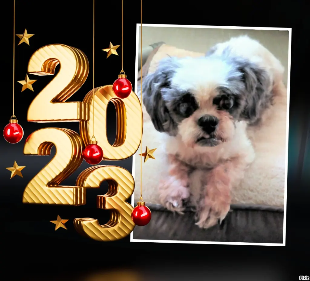 Andachtsbild von Neujahrsgrüße von Timmys Mutti Tanja an Missy ❤ Balou ❤ Hippo ❤  und  an Frauchen Marika ❤❤