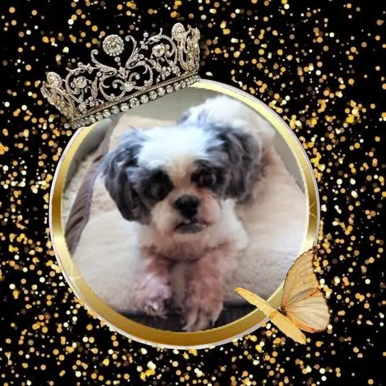 Andachtsbild von 8.Monate...in Regenbogenland❤