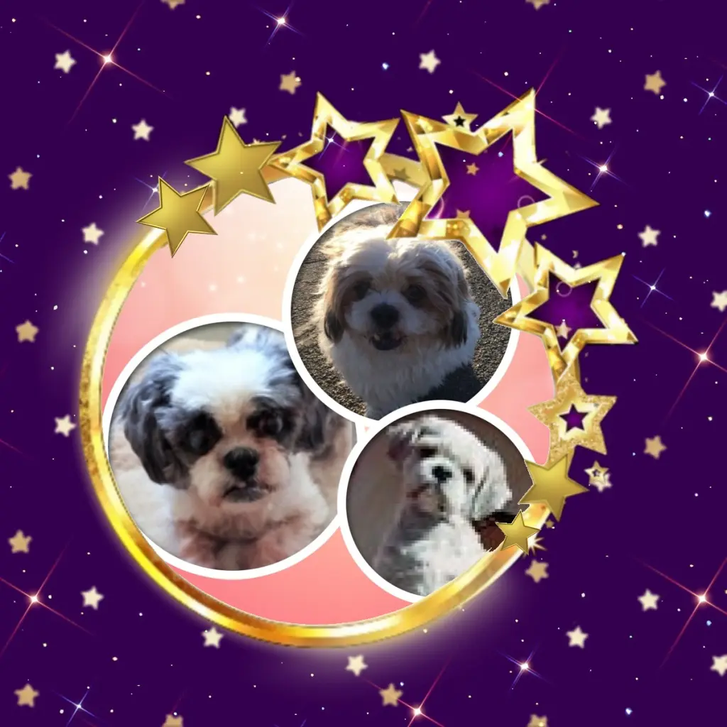 Andachtsbild von 8.Monate...in Regenbogenland❤