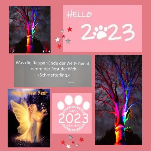 Andachtsbild von Rosen für Dich Missy-Mäuschen 