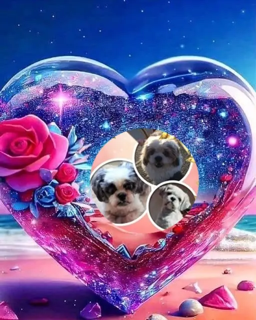 Andachtsbild von ❤️❤️❤️❤️❤️❤️❤️❤️❤️❤️❤️❤️