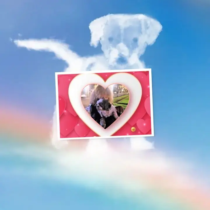 Andachtsbild von 40. Wochen.......