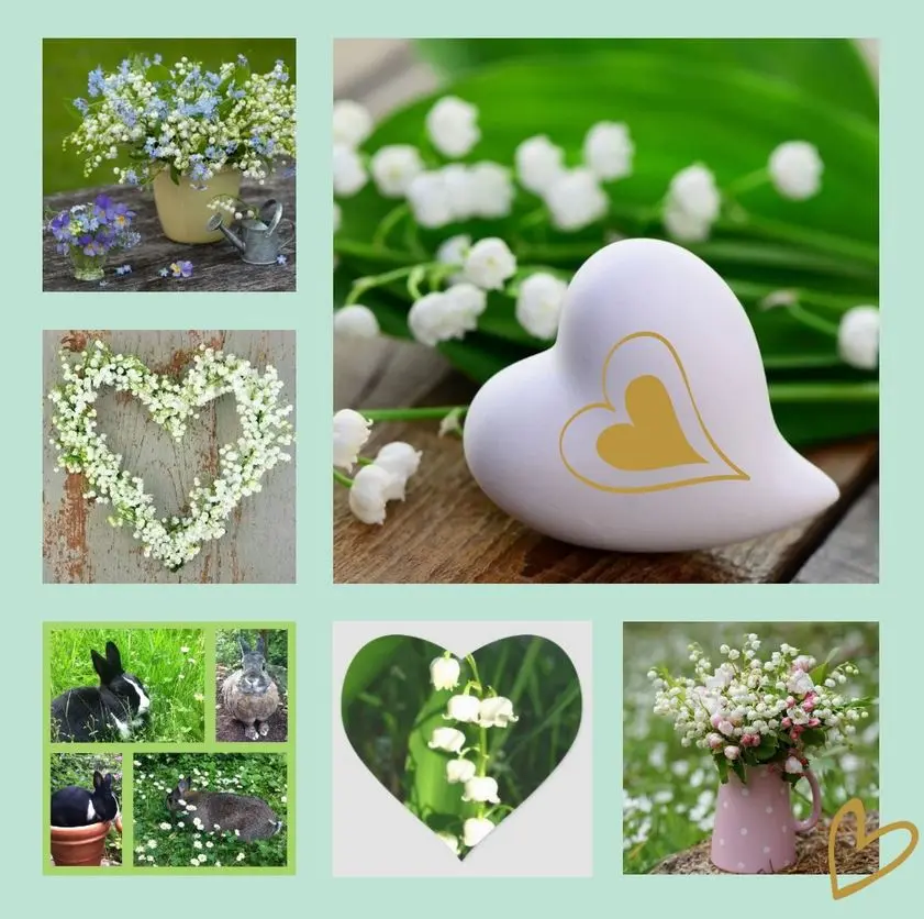 Andachtsbild von Sonntagsrosen für Missy 