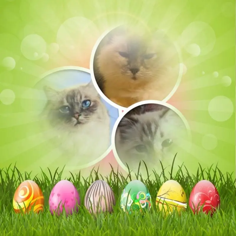 Andachtsbild von frohe Ostern