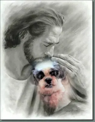 Andachtsbild von 1.Sternchen❤️ Gedenktag❤️