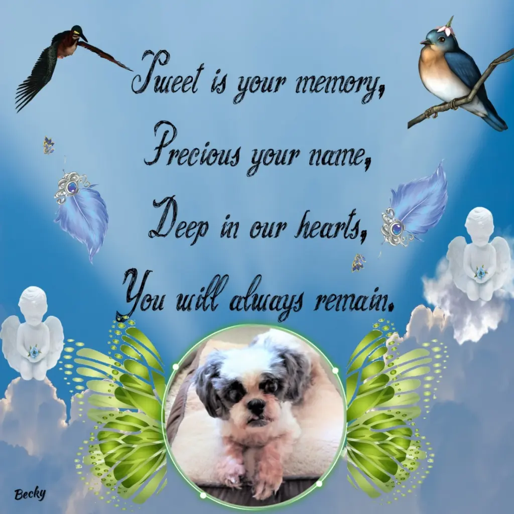 Andachtsbild von 1.Sternchen❤️ Gedenktag❤️