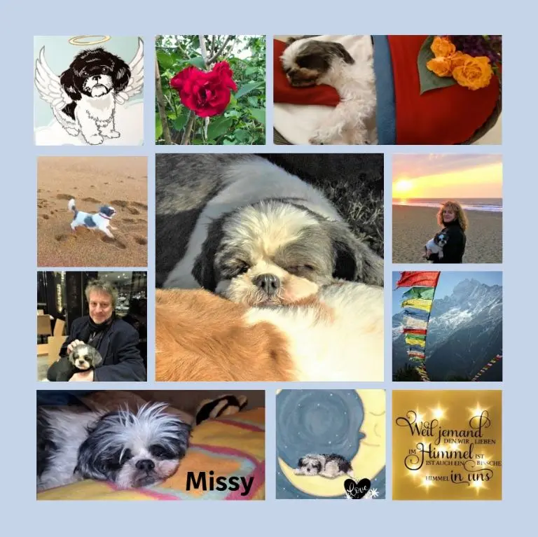 Andachtsbild von Rosen zum 1. Sternchengeburtstag für Missy 