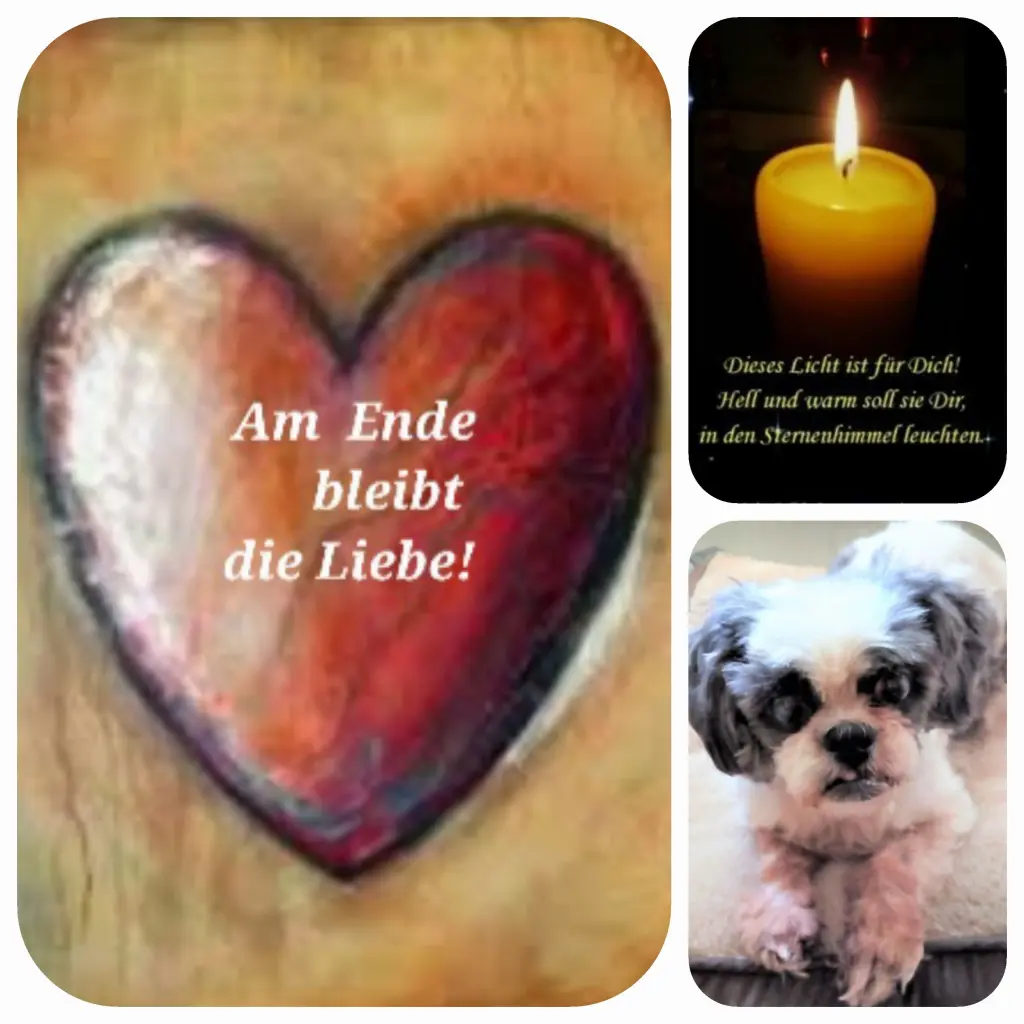 Andachtsbild von Birgit