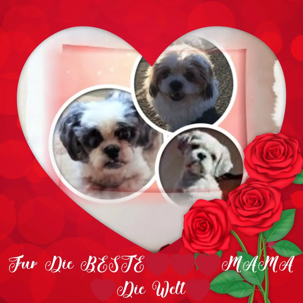 Andachtsbild von Rosen❤️❤️❤️fur Mama❤️