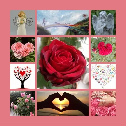 Andachtsbild von Rosen zum Wiederzusammensein seit 53 Wochen ❀✰♥