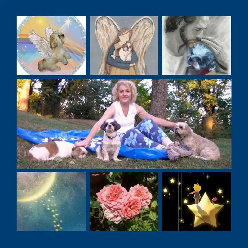 Andachtsbild von Eine Sonnenrose für Missy 