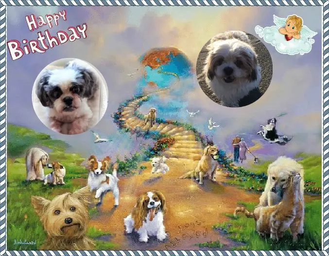 Andachtsbild von 18. Geburtstag❤️❤️❤️❤️❤️❤️❤️❤️❤️❤️❤️❤️❤️❤️❤️❤️❤️❤️