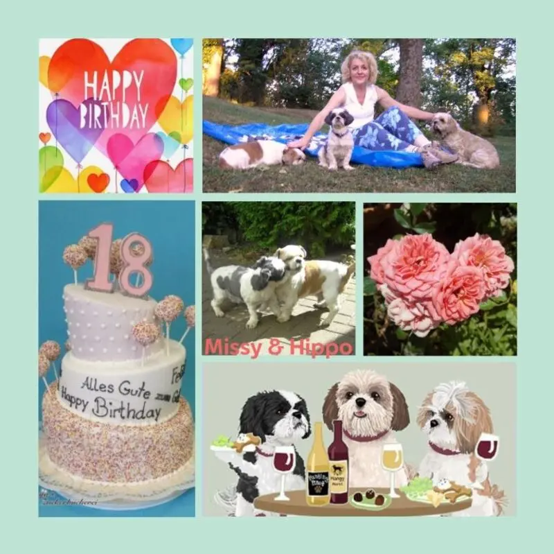 Andachtsbild von 18 Rosensträuße zur Volljährigkeit