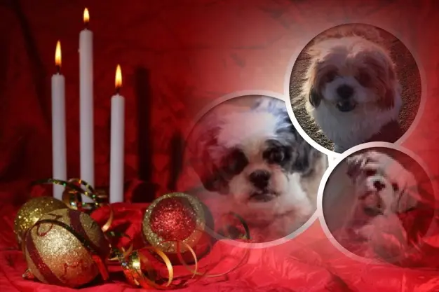 Andachtsbild von 3.Advent❤️❤️❤️Sonntag❤️