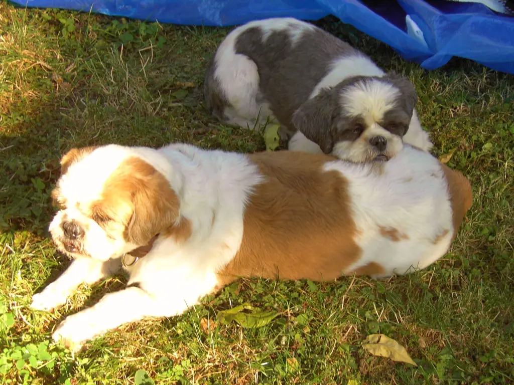 Andachtsbild von Vor 6 Jahren