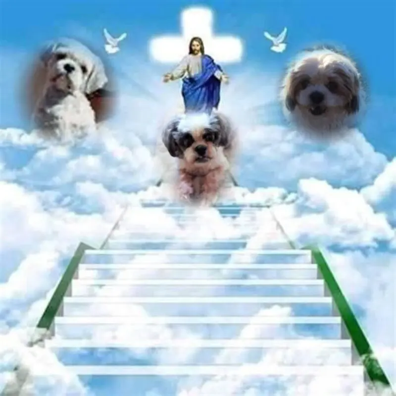 Andachtsbild von Rosen zu Hippos 6. Sternchen-Tag