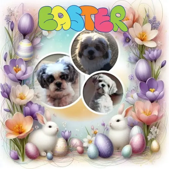 Andachtsbild von Frohe❤️❤️❤️Ostern❤️