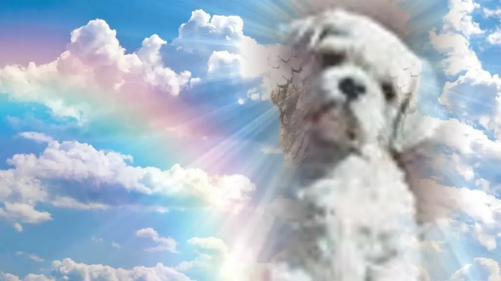 Andachtsbild von ❤️❤️❤️❤️❤️❤️