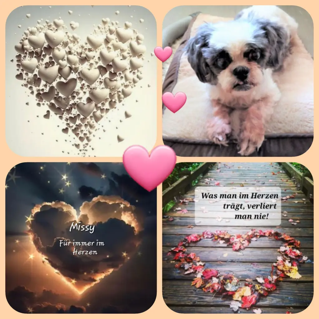 Andachtsbild von Birgit