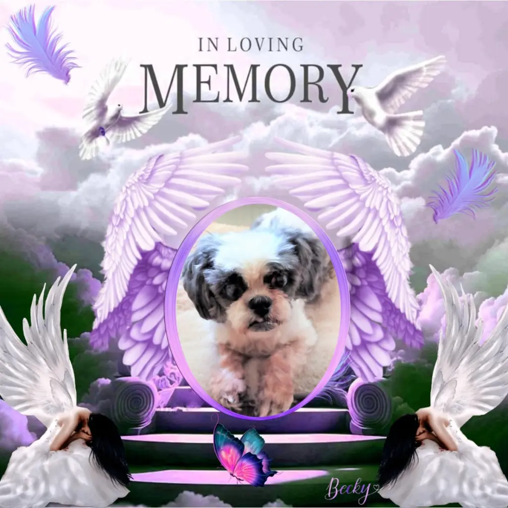 Andachtsbild von ❤️❤️❤️❤️❤️❤️❤️❤️❤️❤️❤️❤️