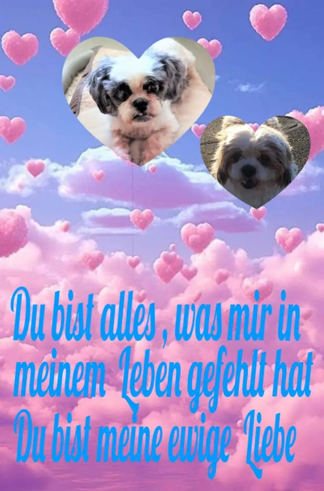 Andachtsbild von ❤️❤️❤️❤️❤️❤️❤️❤️❤️❤️❤️❤️