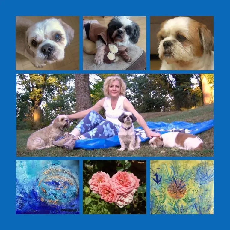 Andachtsbild von Eine Sonntagsrose für Missy 