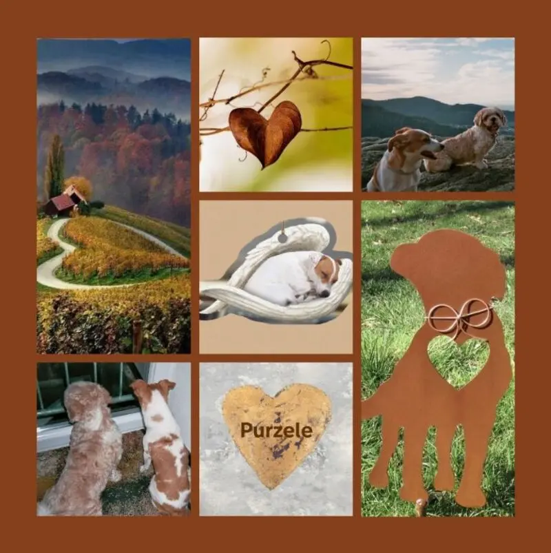 Andachtsbild von Im Gedenken an das süße Hundele Purzele