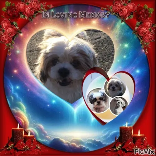 Andachtsbild von Gute Nacht❤️❤️❤️Mauschen❤️❤️❤️