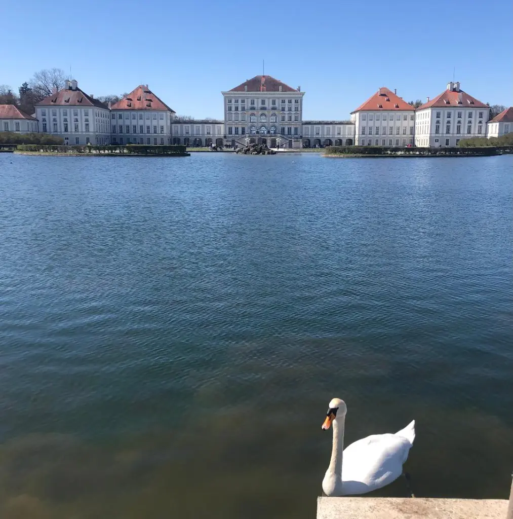 Andachtsbild von Eine Sonnenrose für Missy 