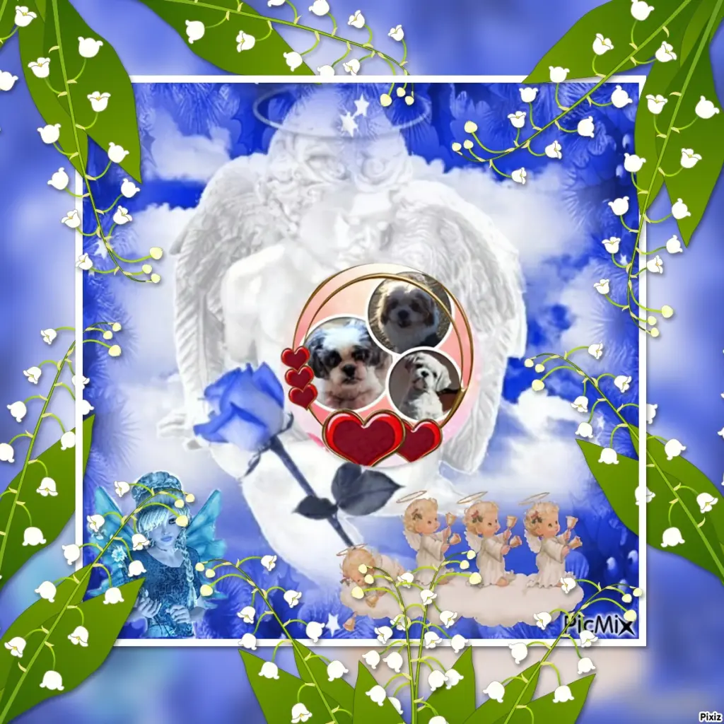 Andachtsbild von 1.Mai❤️