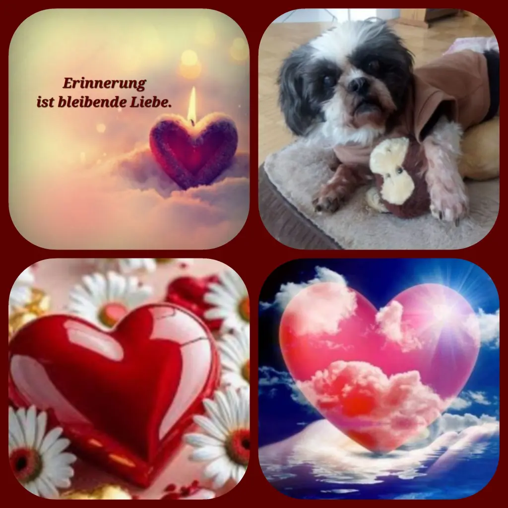 Andachtsbild von Birgit mit Cora tief im Herzen ♥️ 