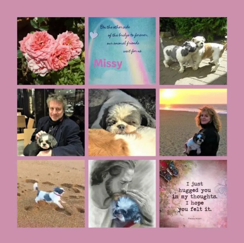 Andachtsbild von Rosen für Dich meine Missy zum 3. Sternchentag