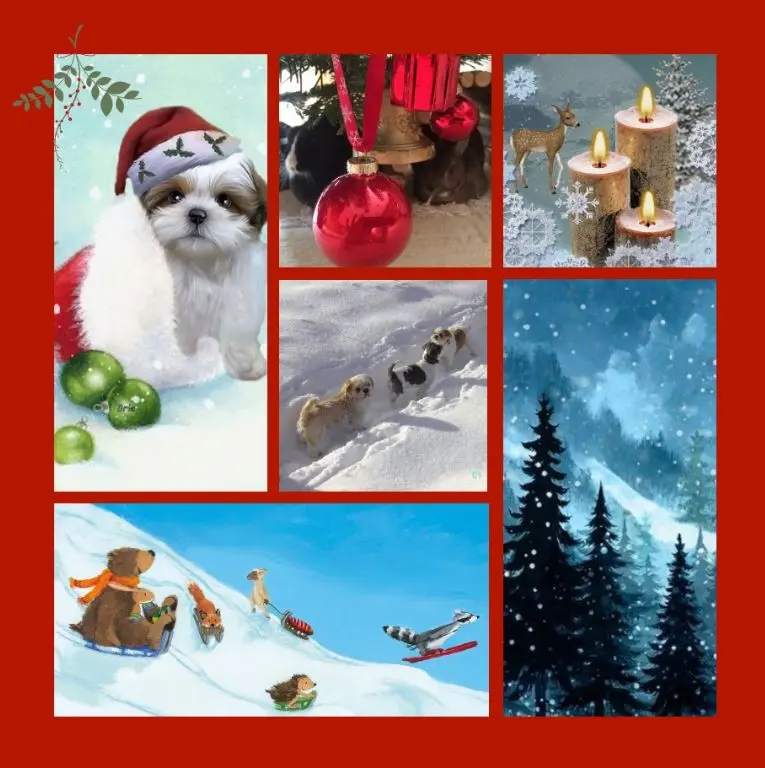 Andachtsbild von drei Adventsröschen für Missy