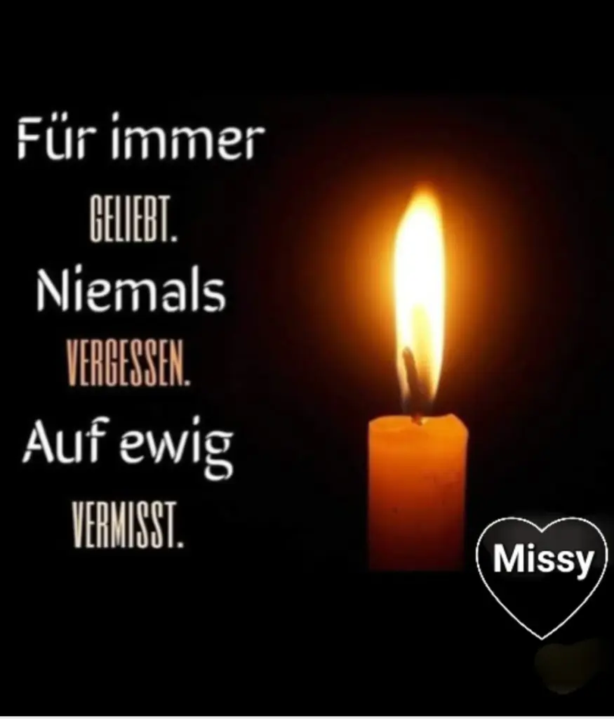 Condolence image of Für Missy zum 4. Sternchengedenktag ♥️ von Birgit