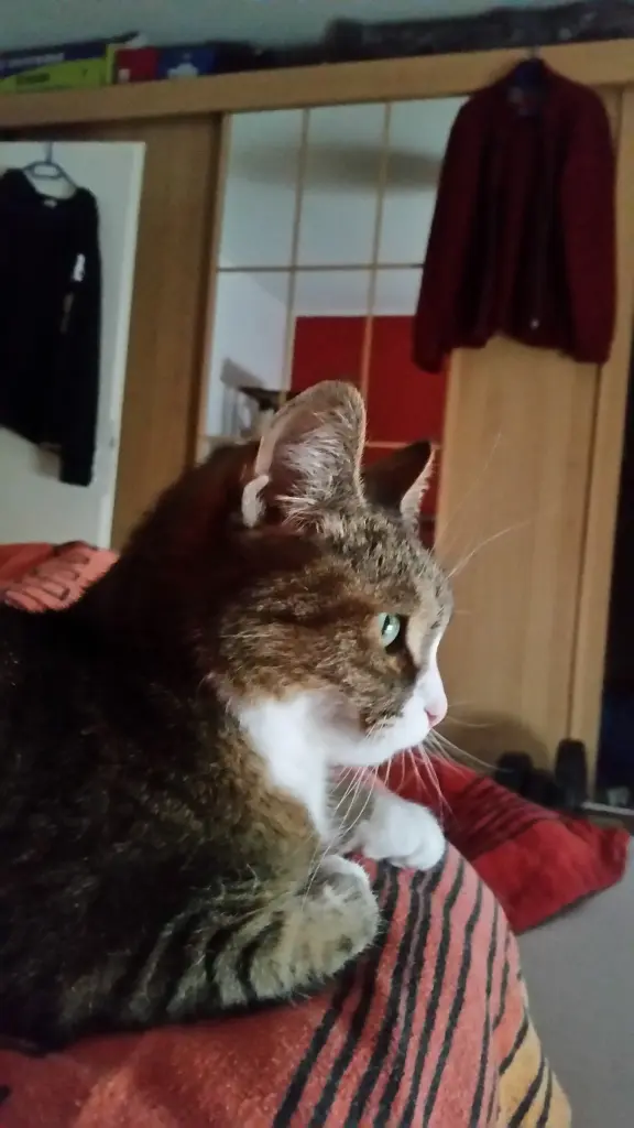 Condolence image of Waldemar mit Mausi im ♥️