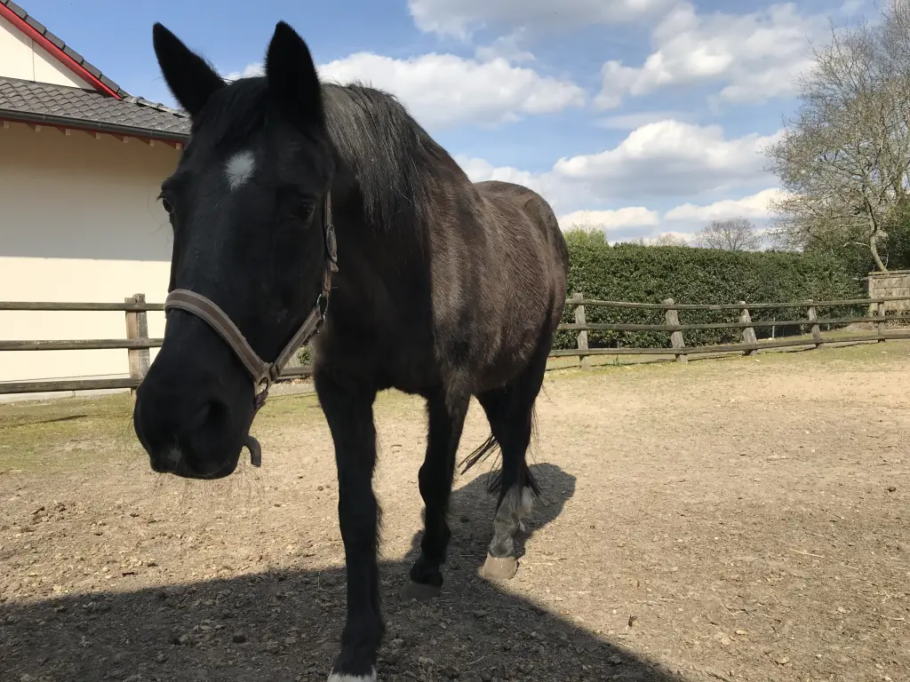 Image from Rebecca