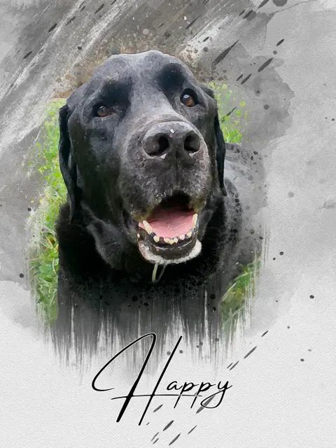 Image from Happy