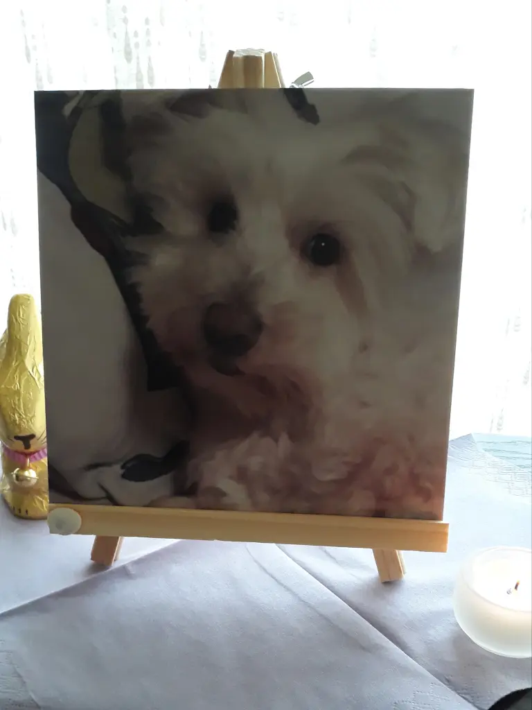 Condolence image of Martina