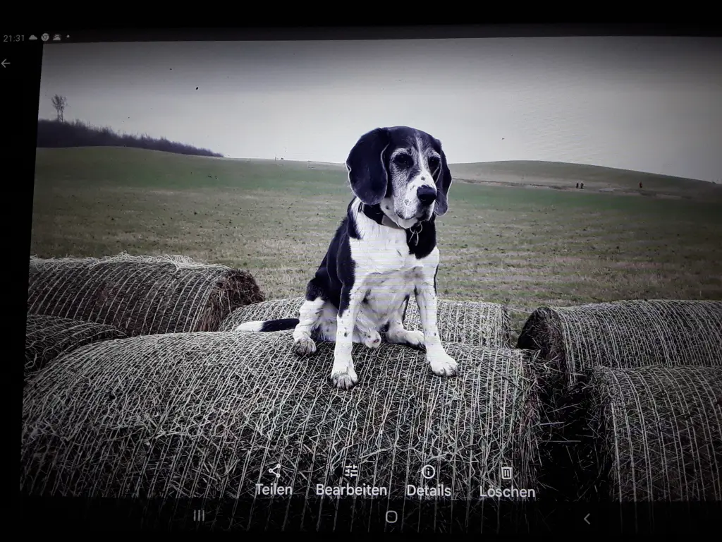 Image from Kopper