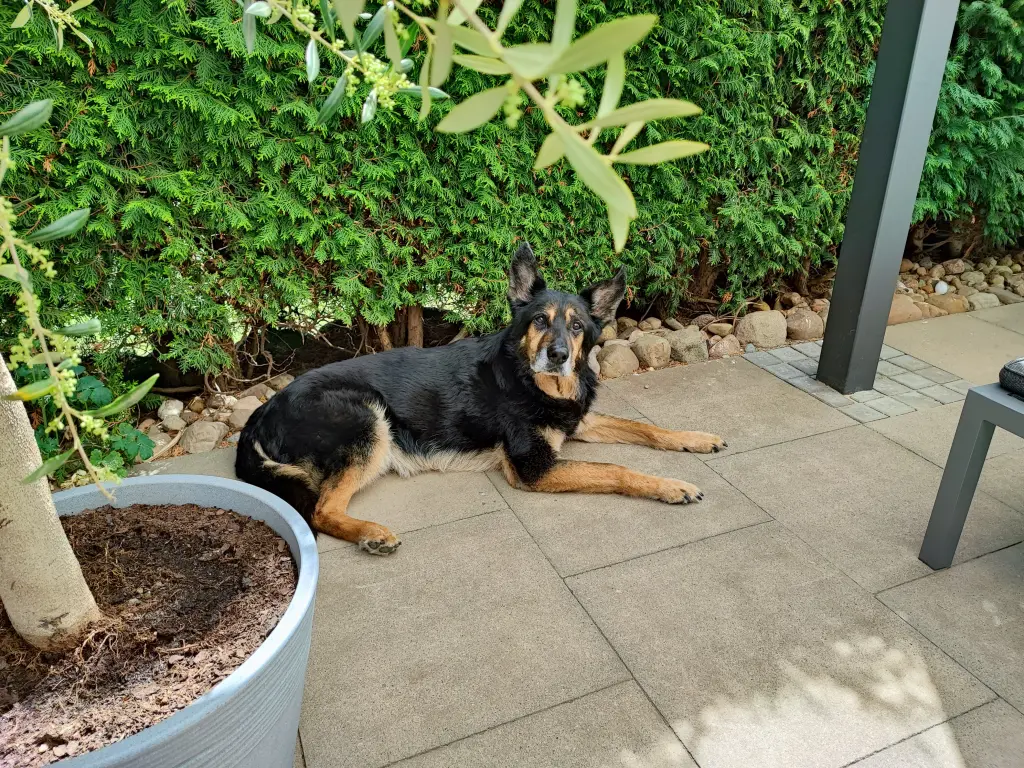 Image from Spike