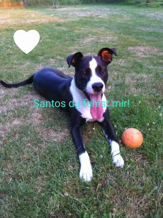 Condolence image of Sandra