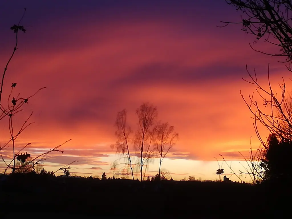 Image from Meine Sternenkatzen
