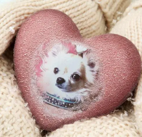 Condolence image of Deiner Mama