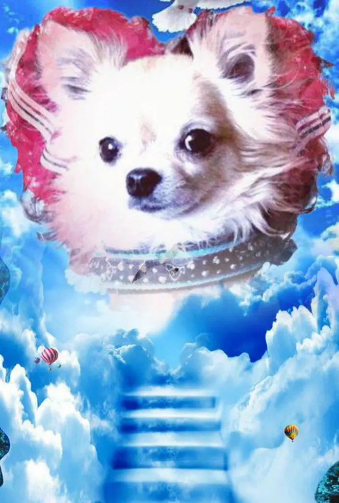 Condolence image of Deine Mama