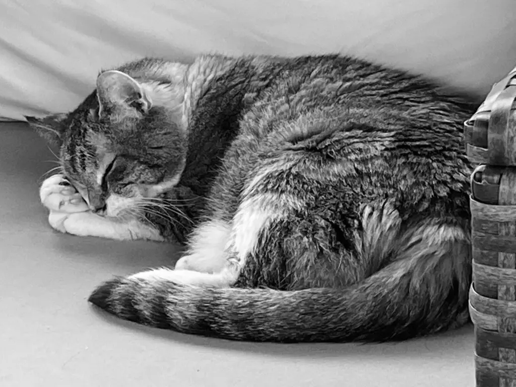 Image from Twix