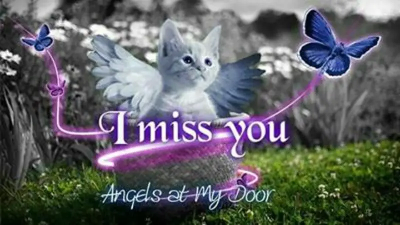 Condolence image of Doris-Ulrike Jakob